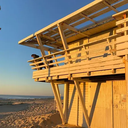 Beautiful Duplex House With Terrace And Garden